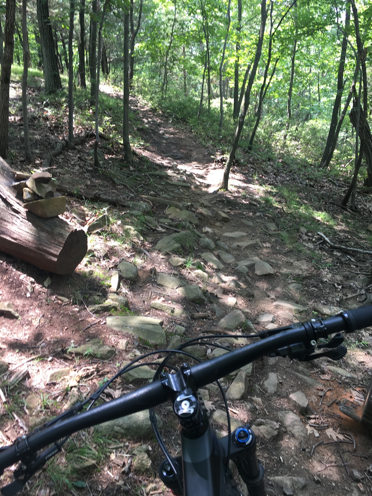A mountain biker's view from the handlebars on a rocky, rooty forest trail.