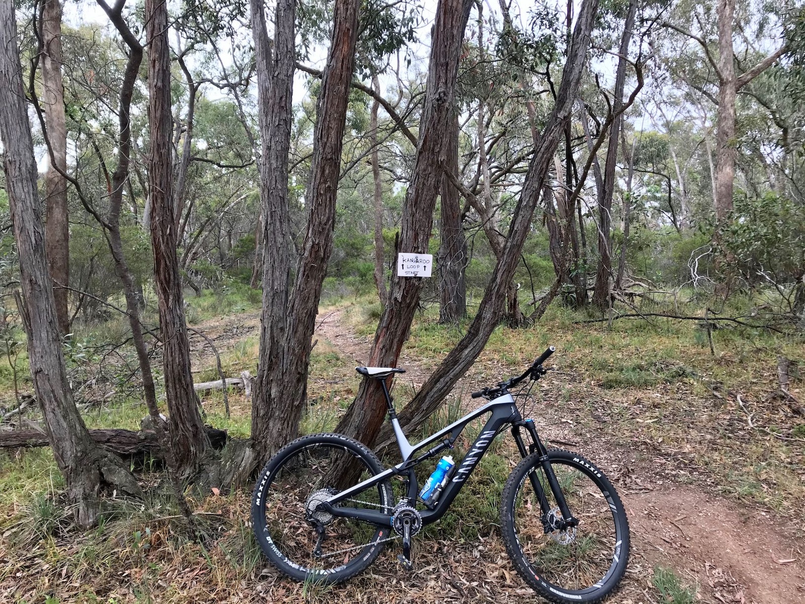 Start of Kangaroo Loop