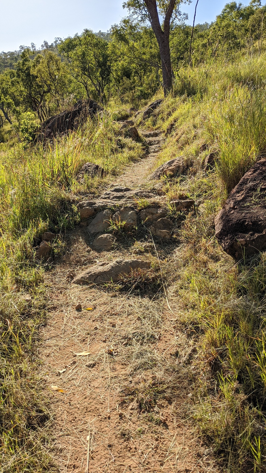 Brush cutting completed on Boulderdash