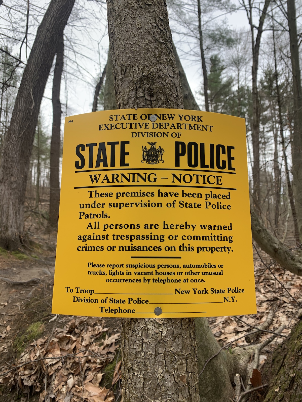 The East half of Luther is blocked by logging and police notices.