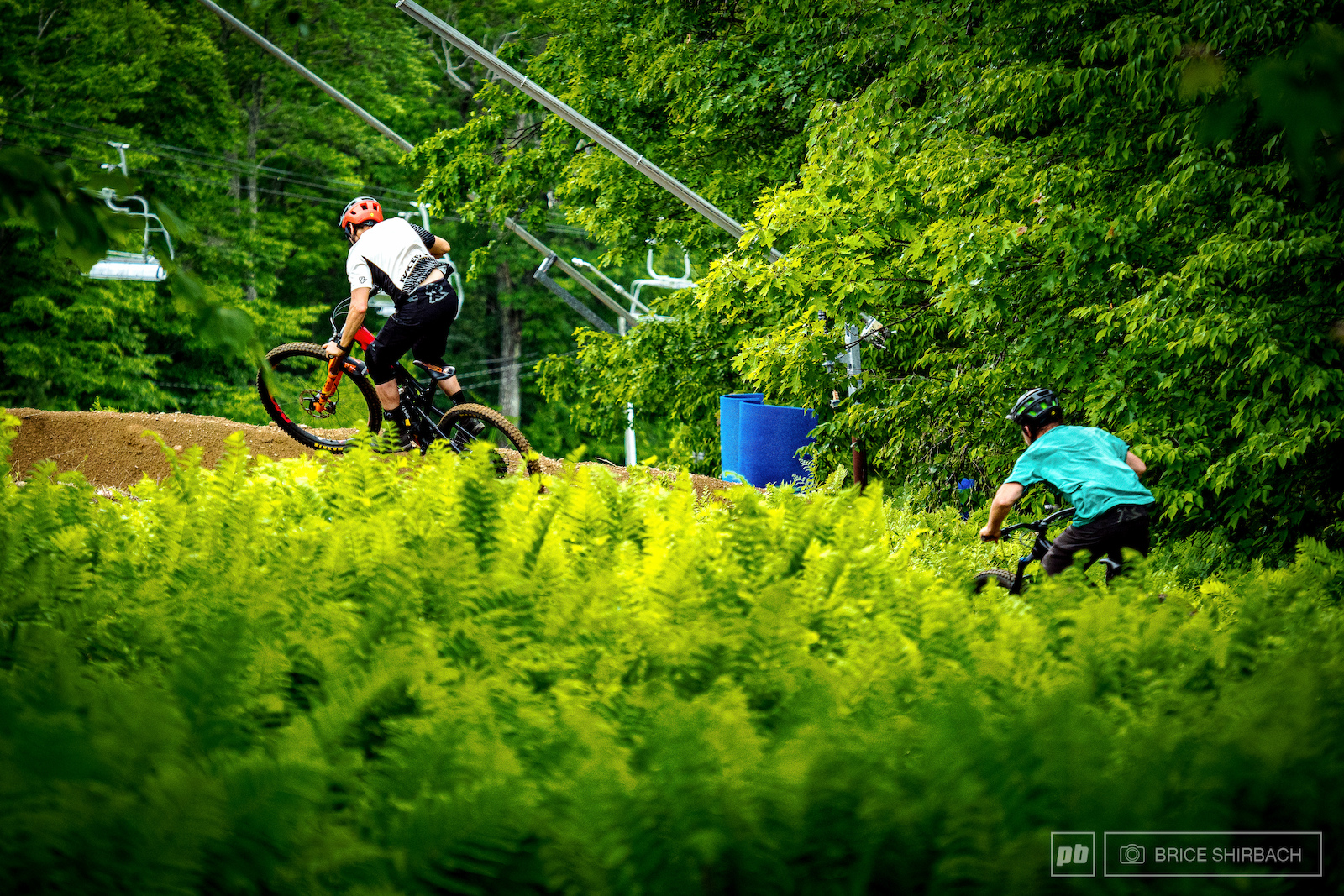 Photos from Local Flavours North Conway NH
