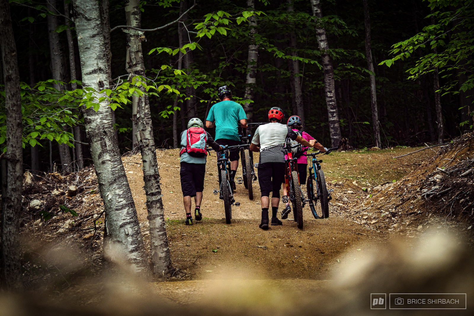 Photos from Local Flavours North Conway NH