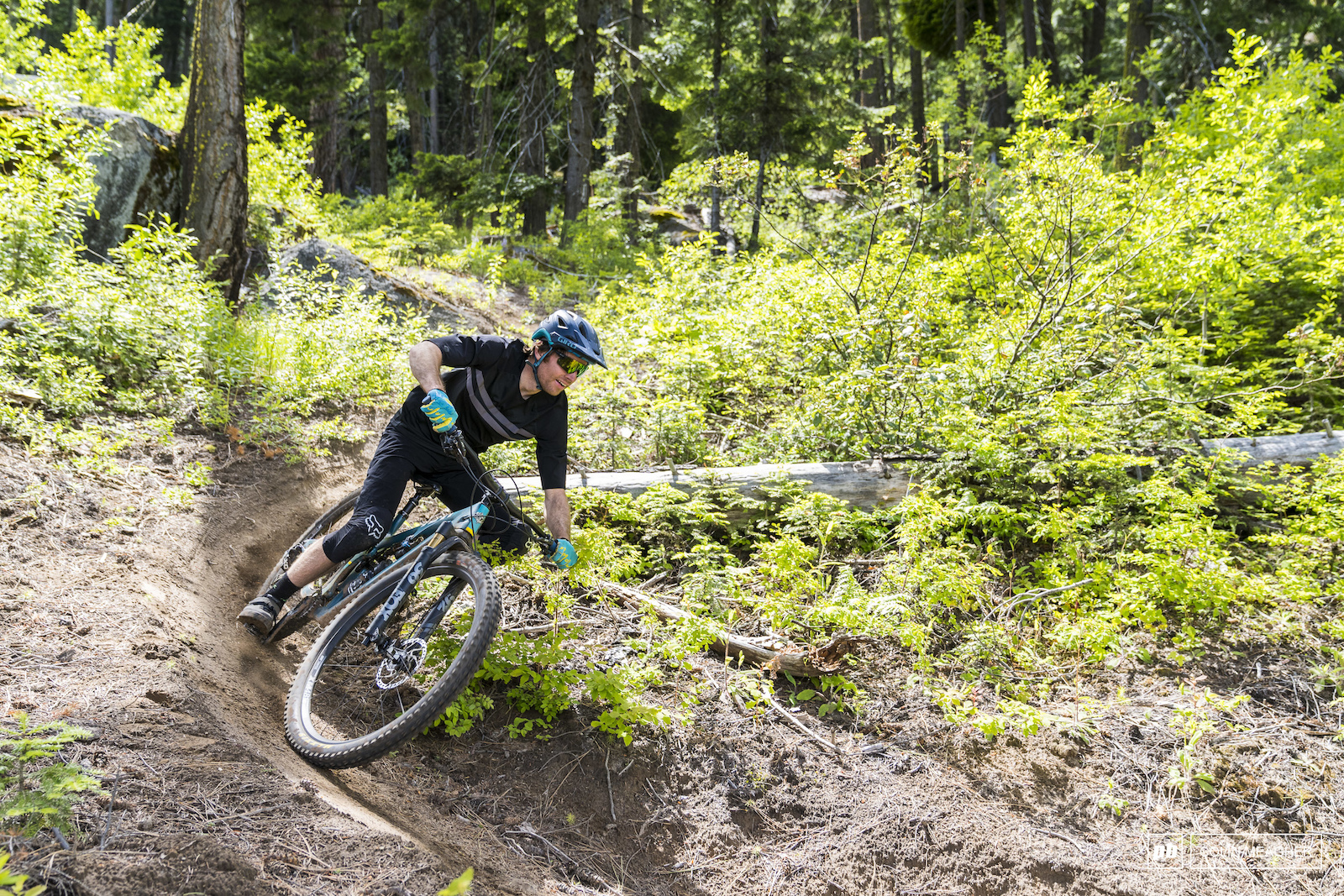 Rippin The Rockies, Limited-Edition Premium Tee