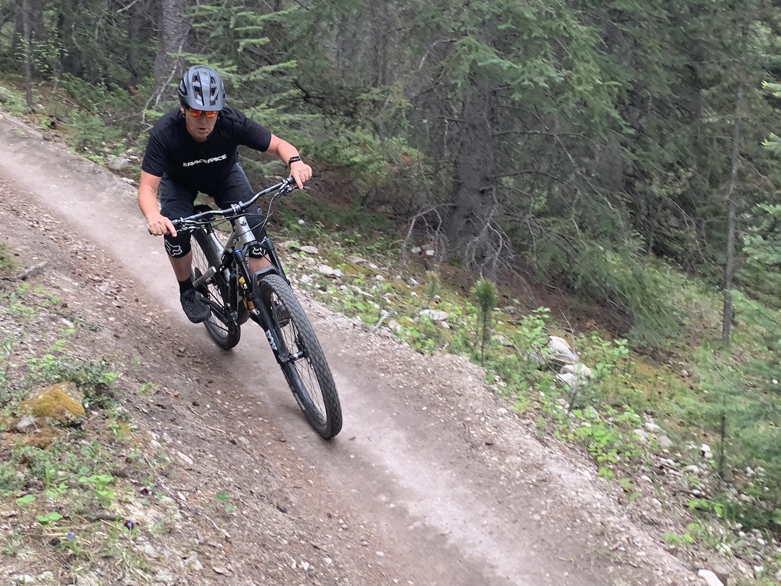 Shredding down Lebensrun