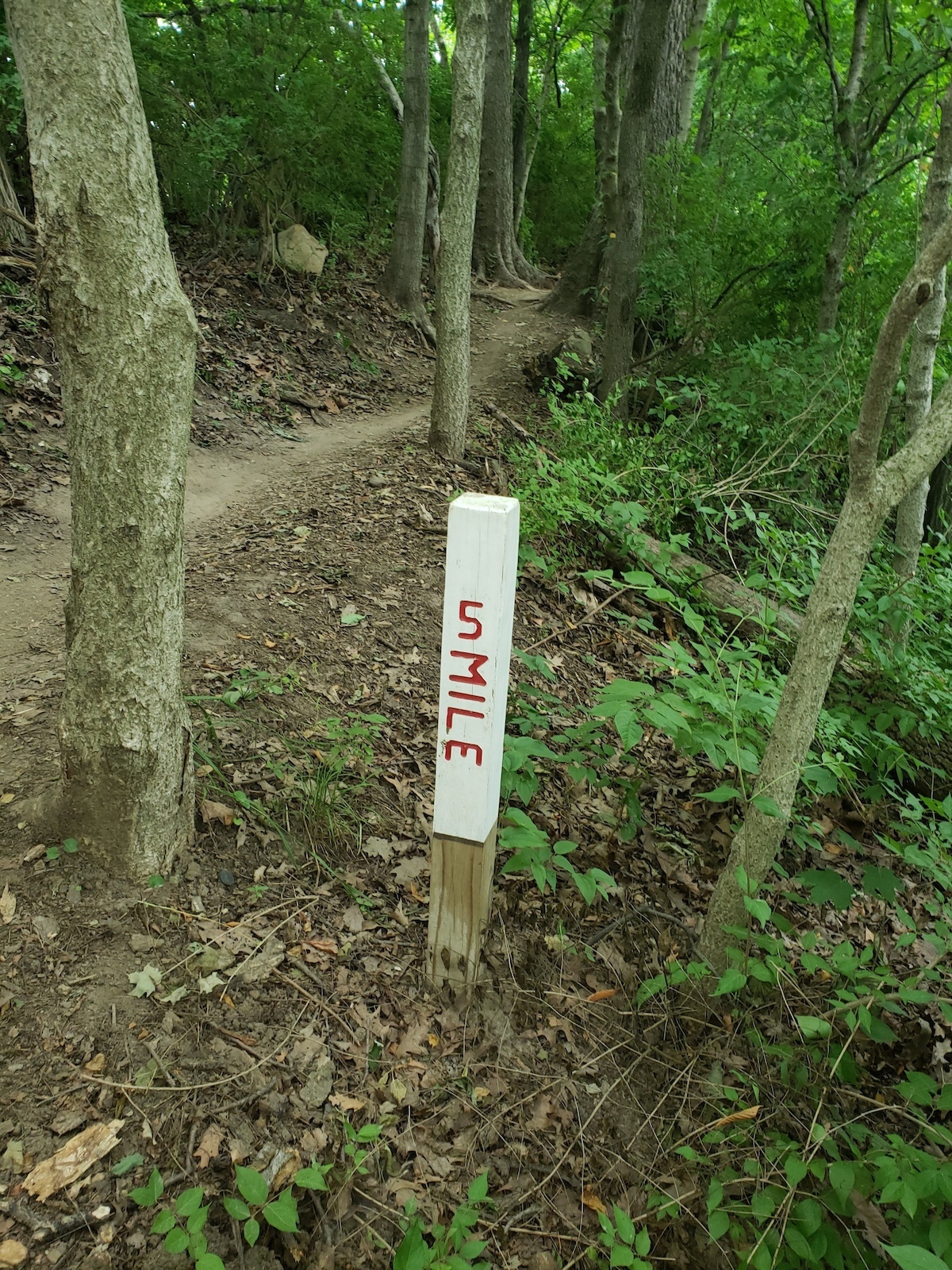 Mile 5
