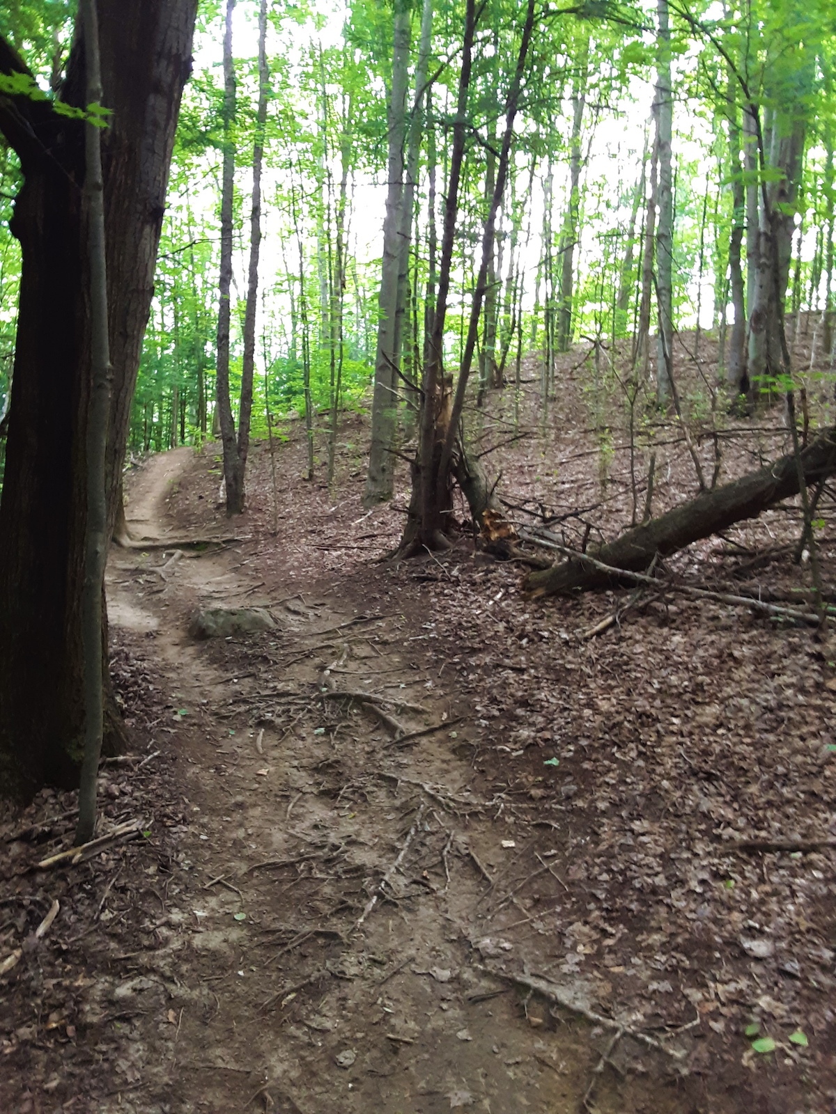 on my way to lung ta via preston loop