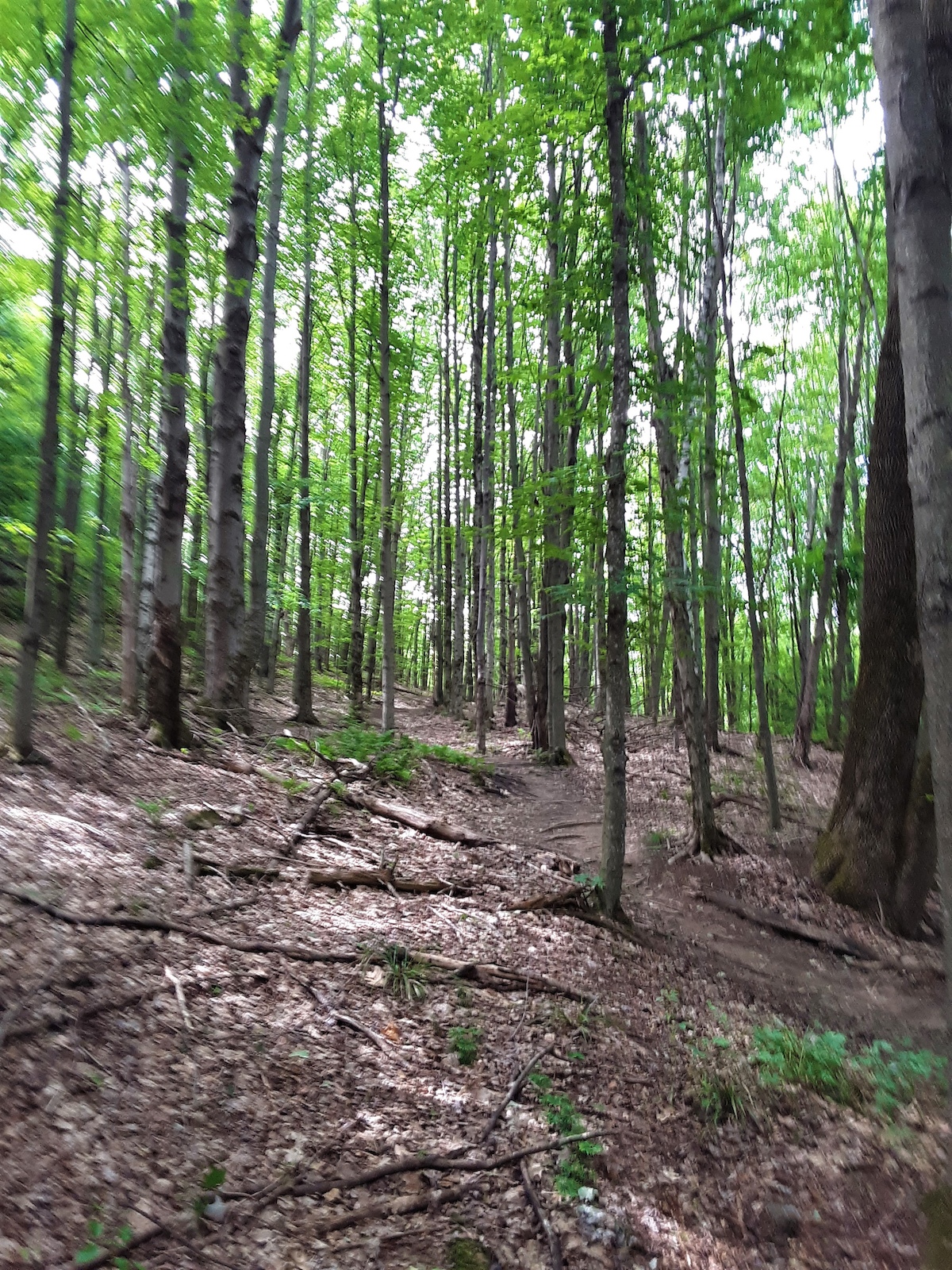 traveling through the preston loop to the top