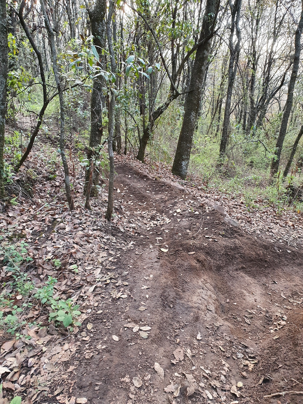 Berm de acceso a línea Canggu