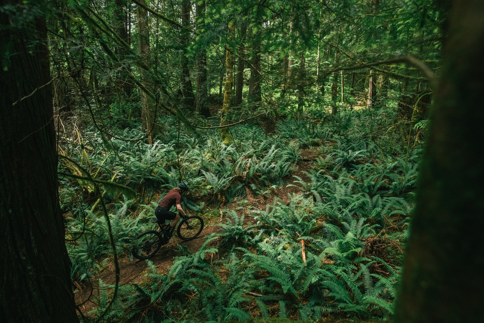 Cannondale Scalpel Photo Margus Riga