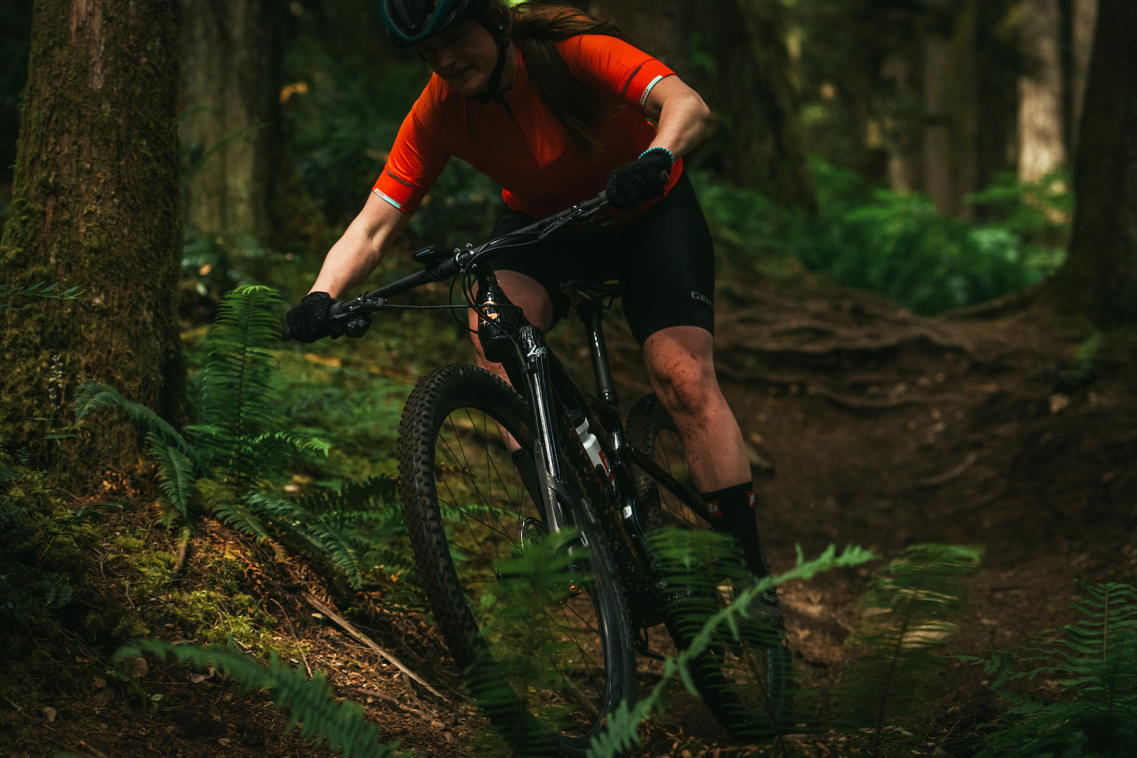 Cannondale Scalpel Photo Margus Riga