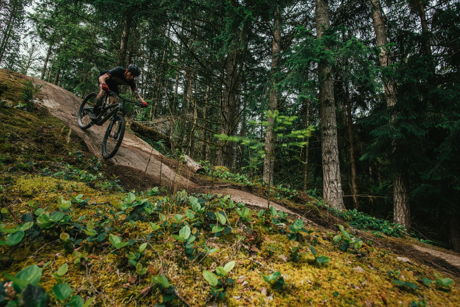 Cannondale Scalpel SE1 review Margus Riga photo