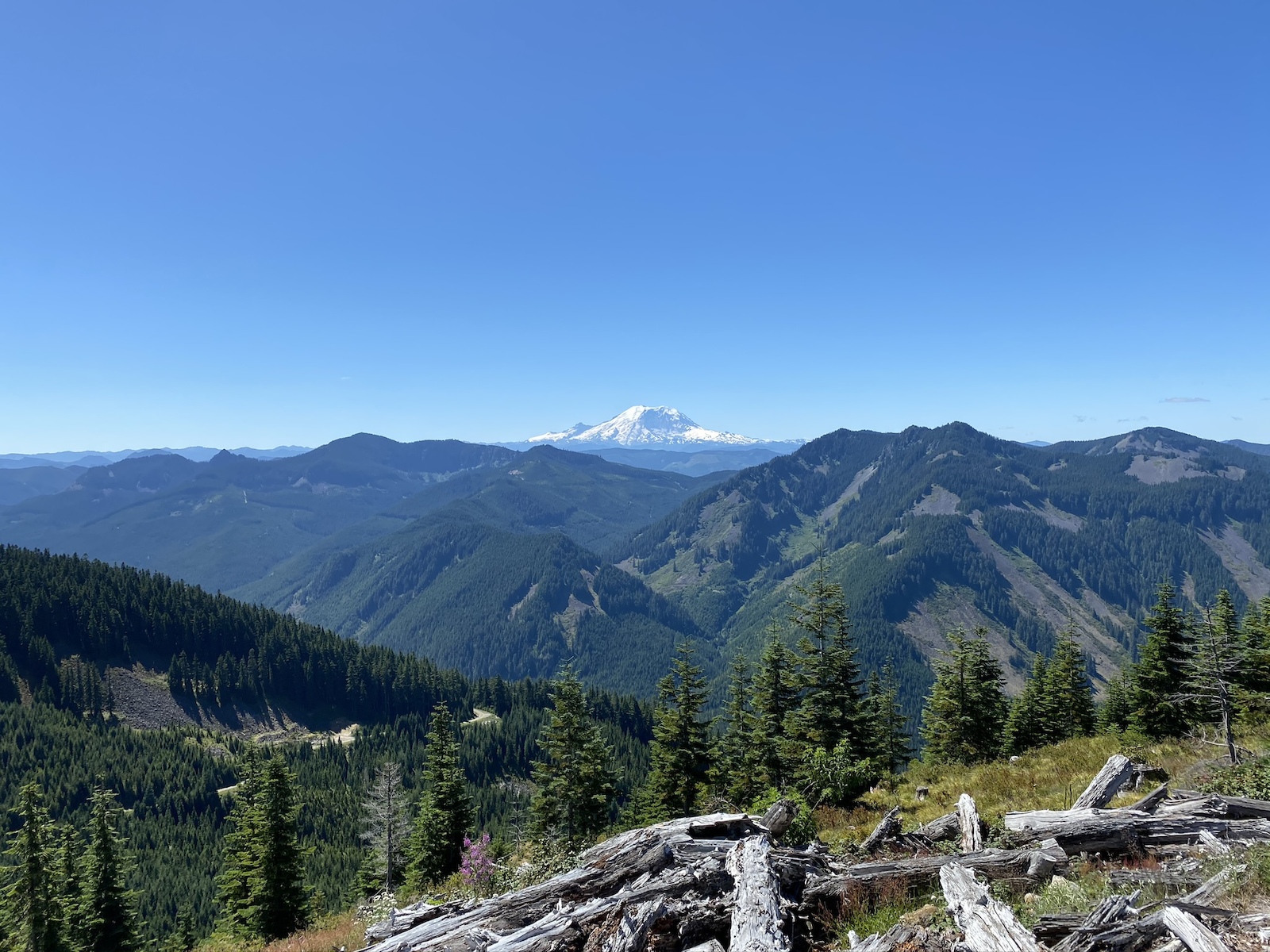 View of Mt Rainier from the viewpoint at the end of the Little Saint Helens trail (slightly below the true peak).