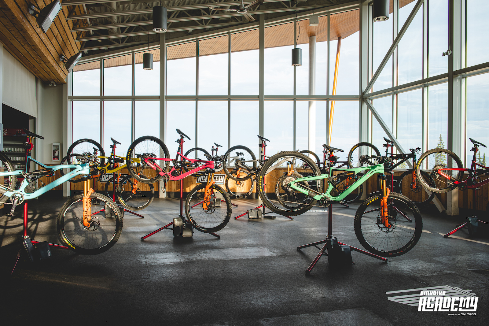 adult bikes academy