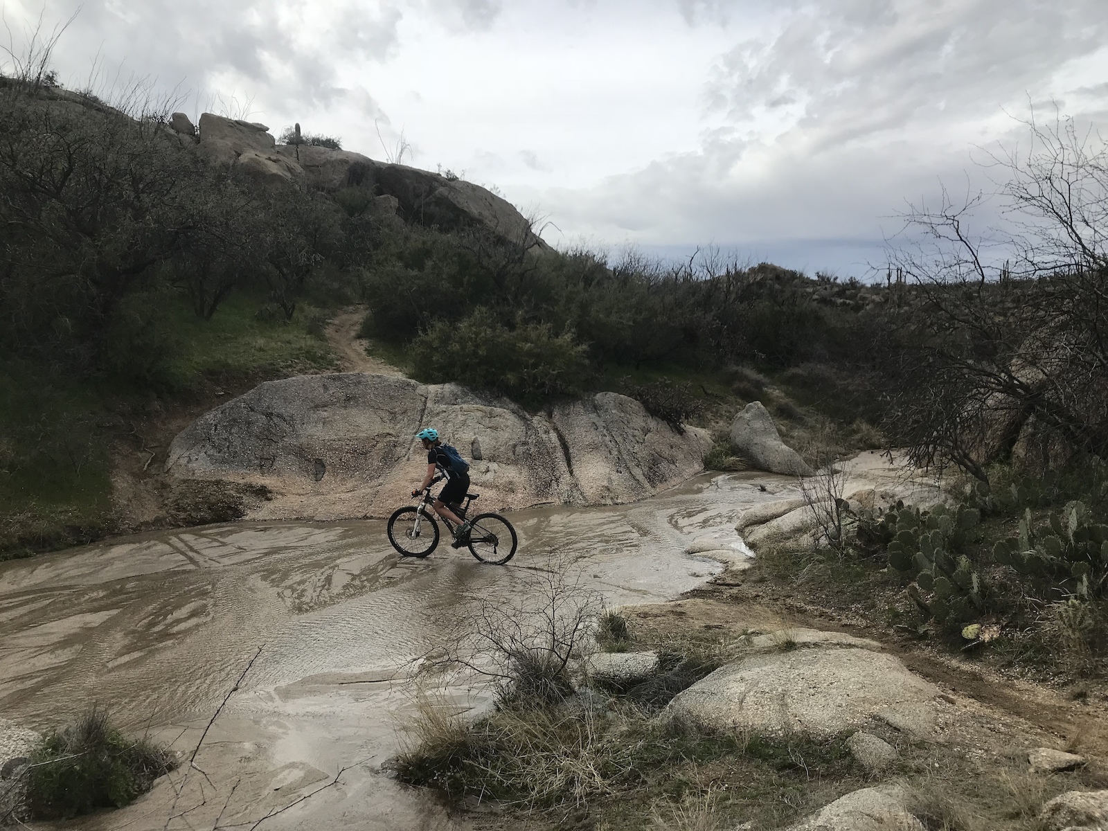Wintry day early 2019
