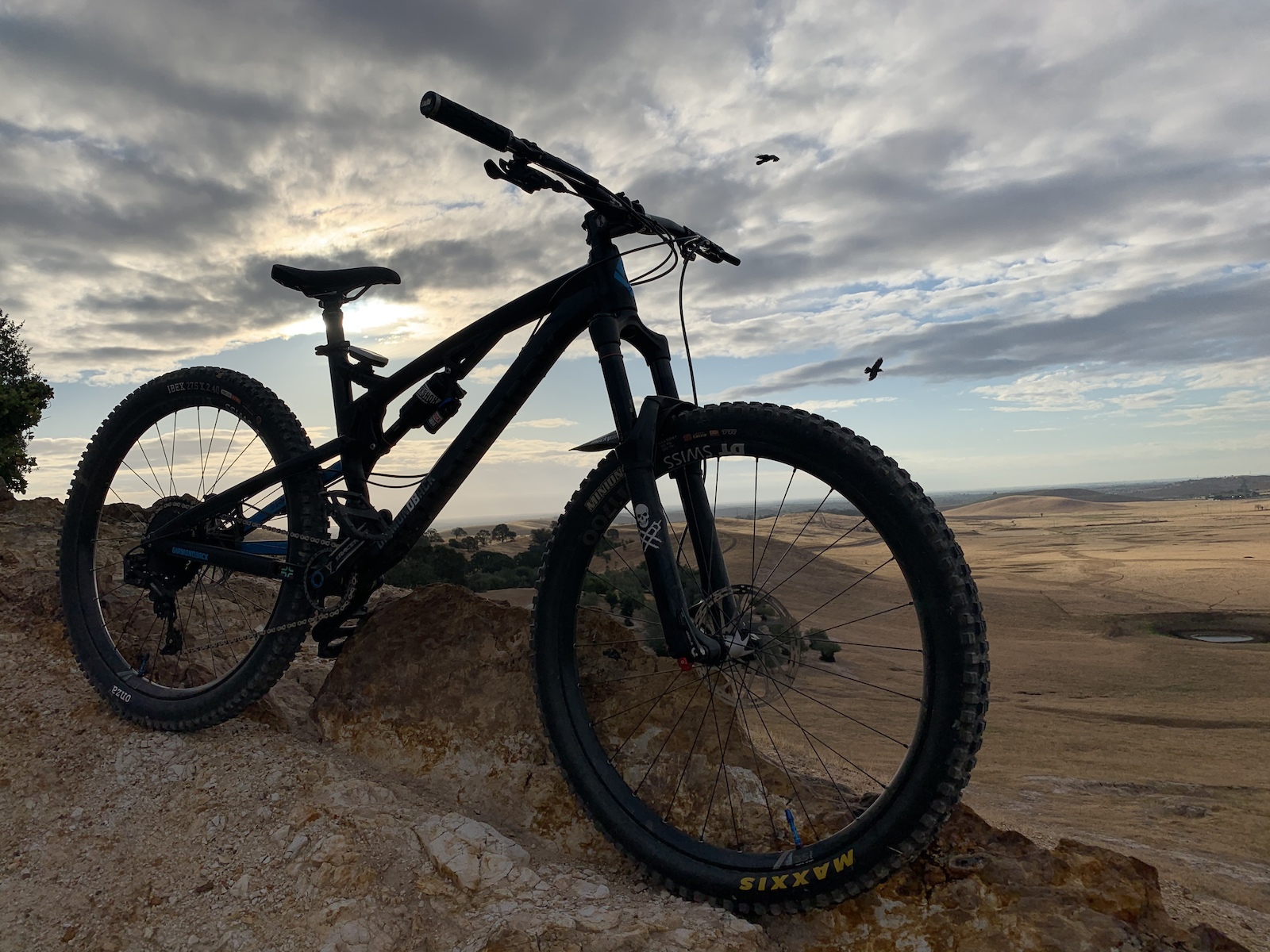 Early Morning ride