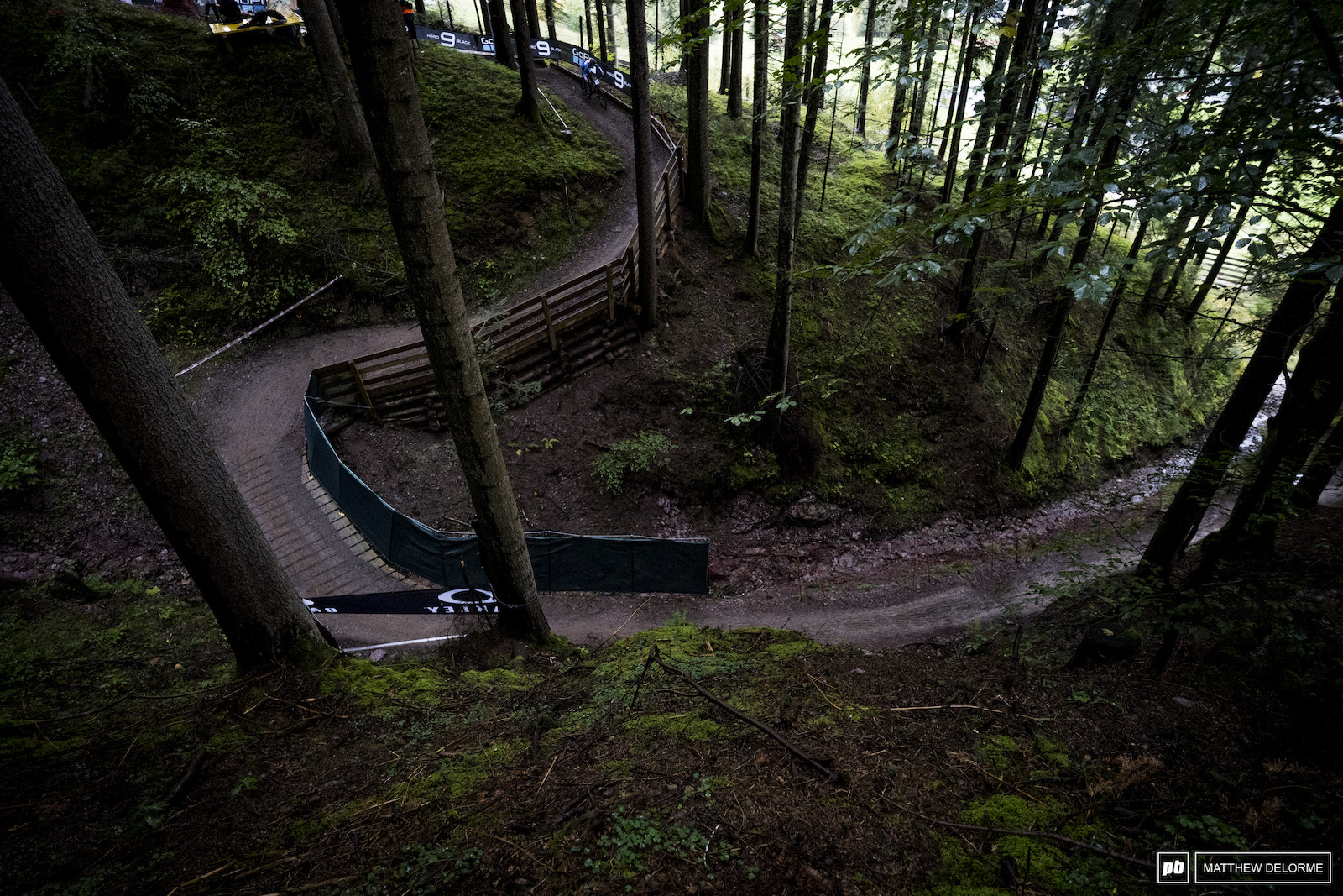 A bit of smooth woodland bike park to mix it up.