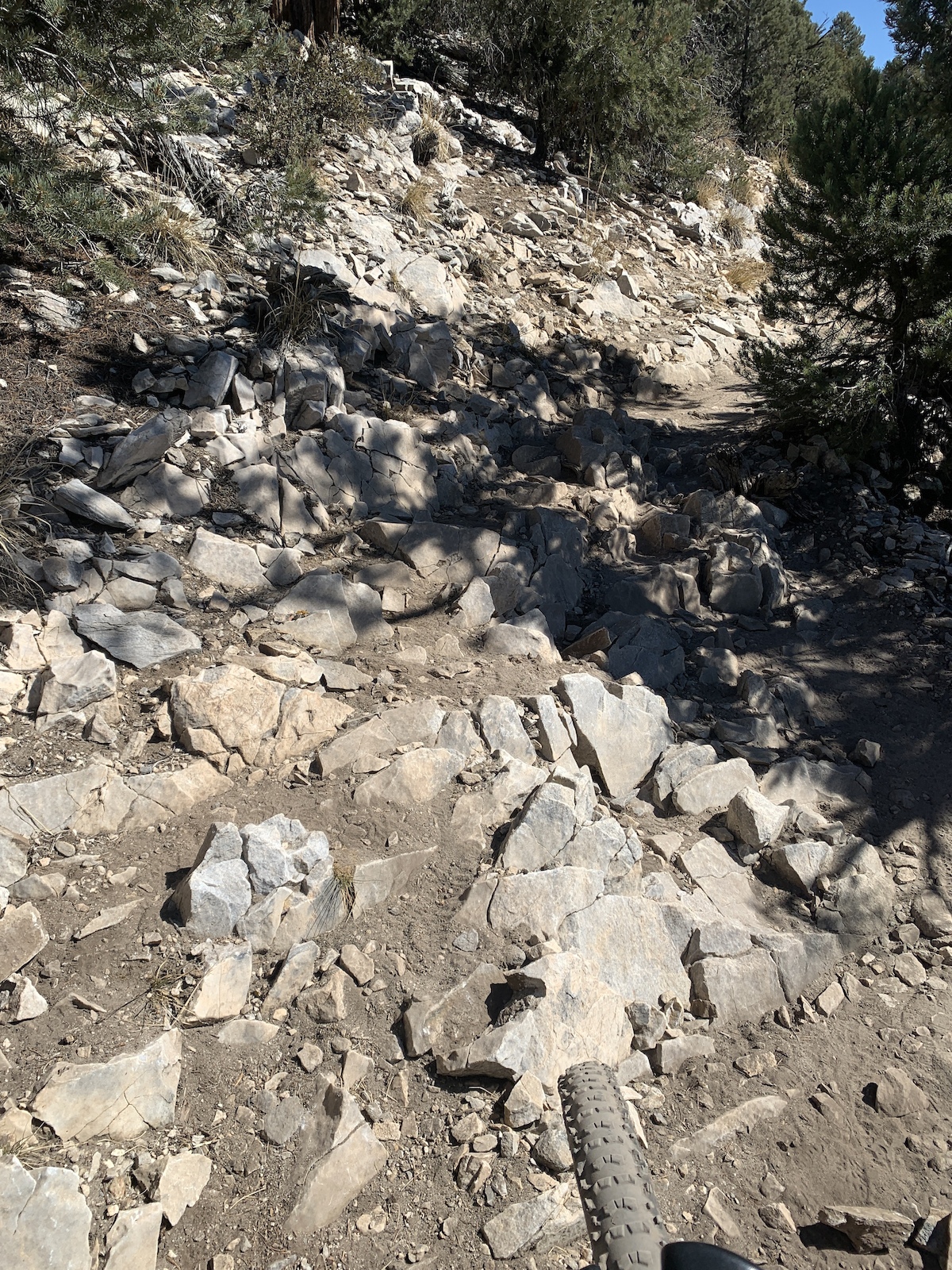 Rock gardens on the top portion of Cougar Crest trail
