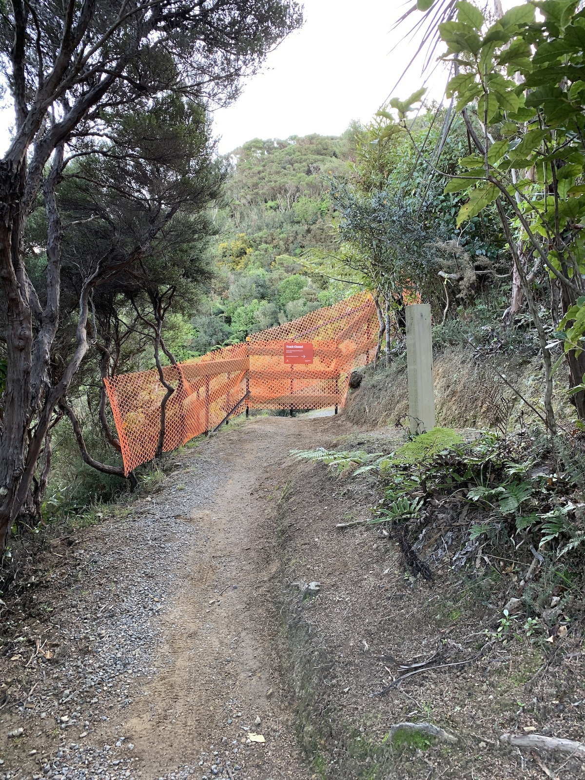 Sally Alley closed due to a slip in April 2020