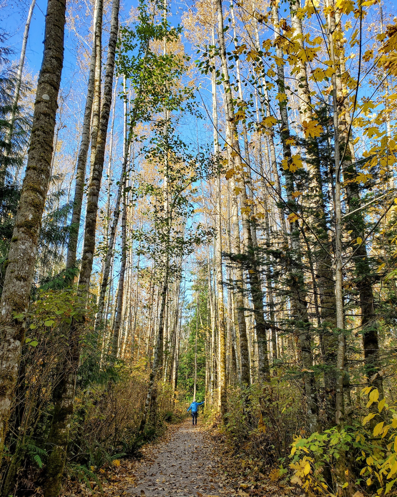 Near the north entrance to the trail