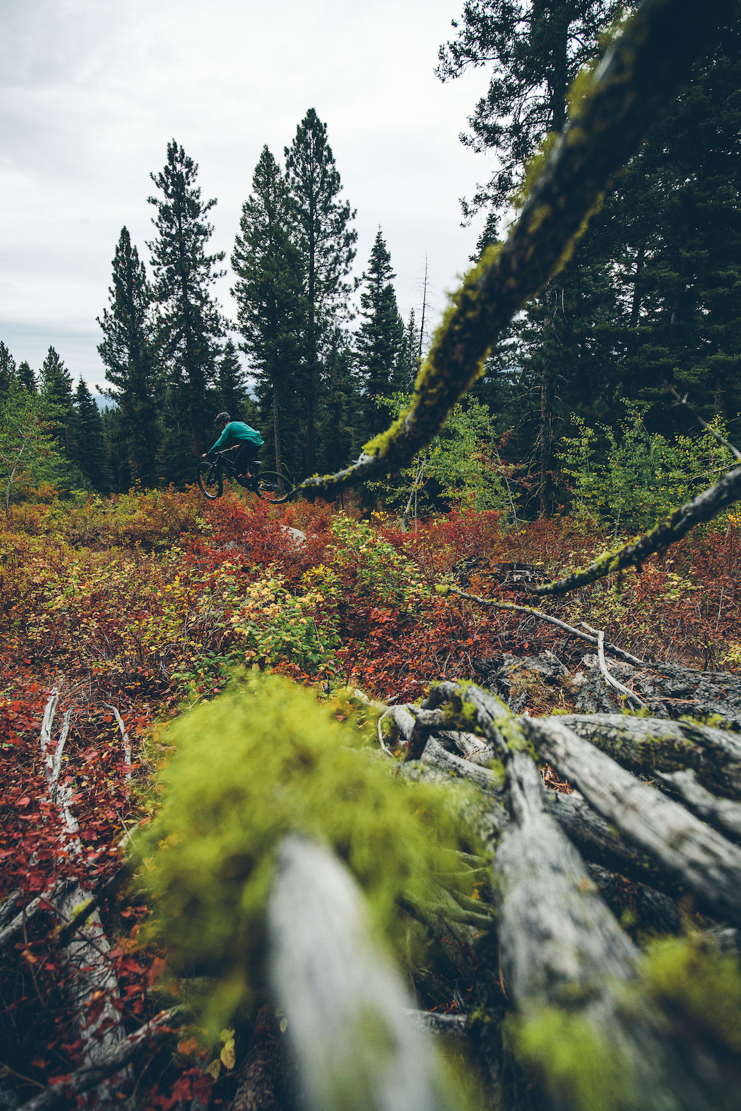 Destination Showcase McCall, Idaho Pinkbike