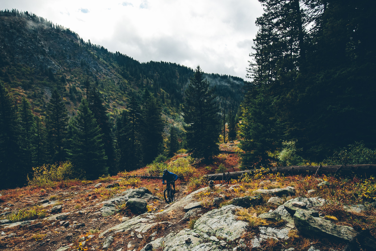 Destination Showcase McCall, Idaho [Updated for 2024] Pinkbike