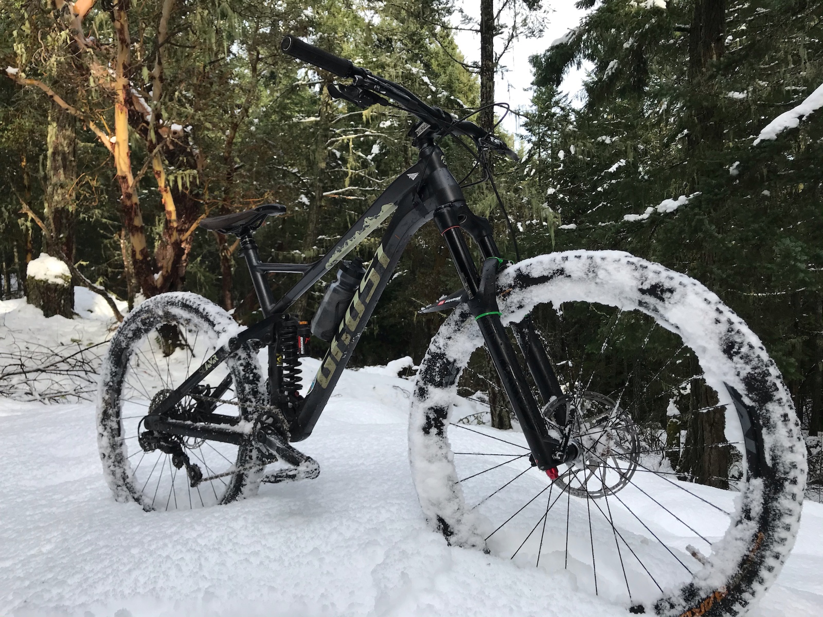 Winter is snow much fun
