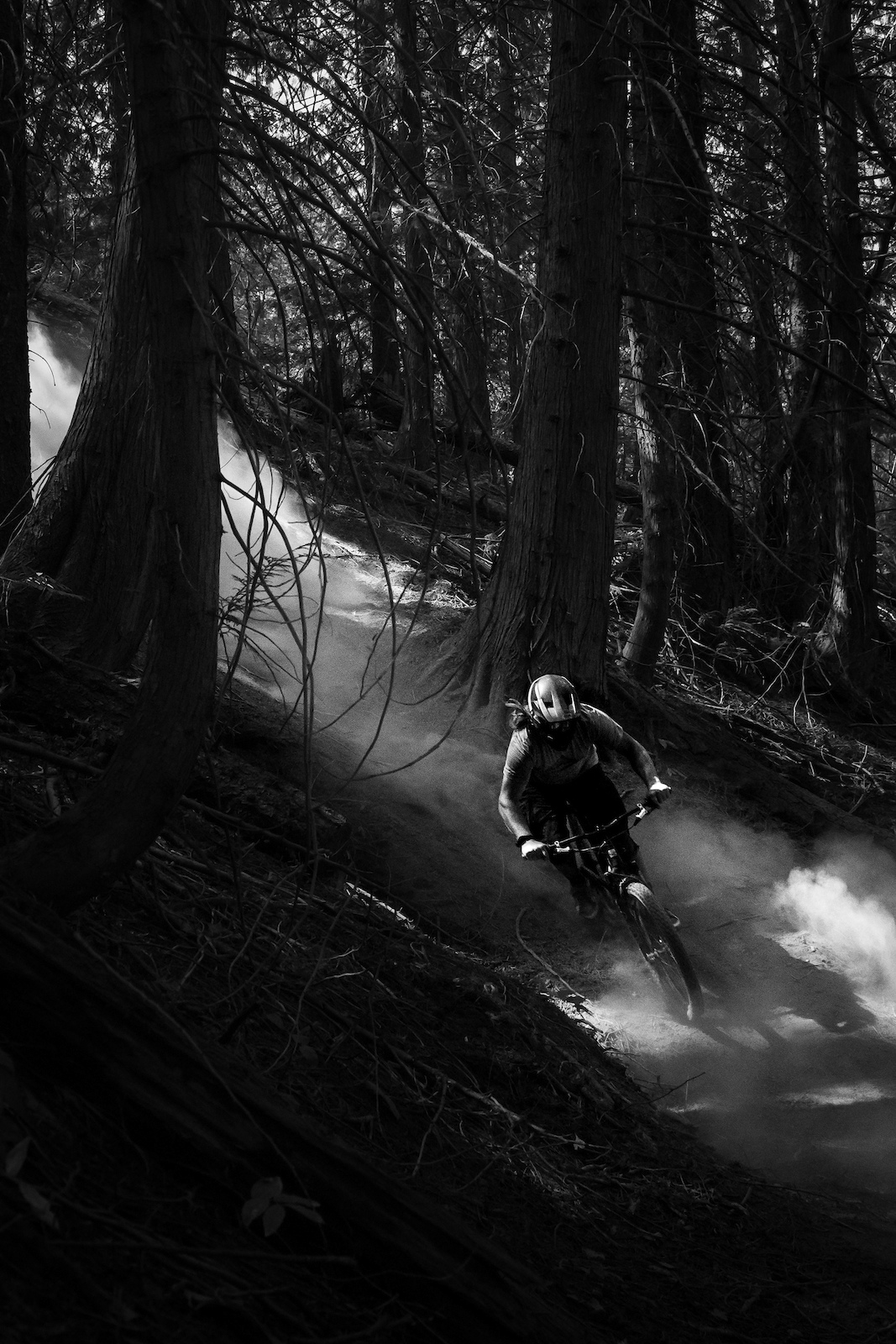 Out of the dust