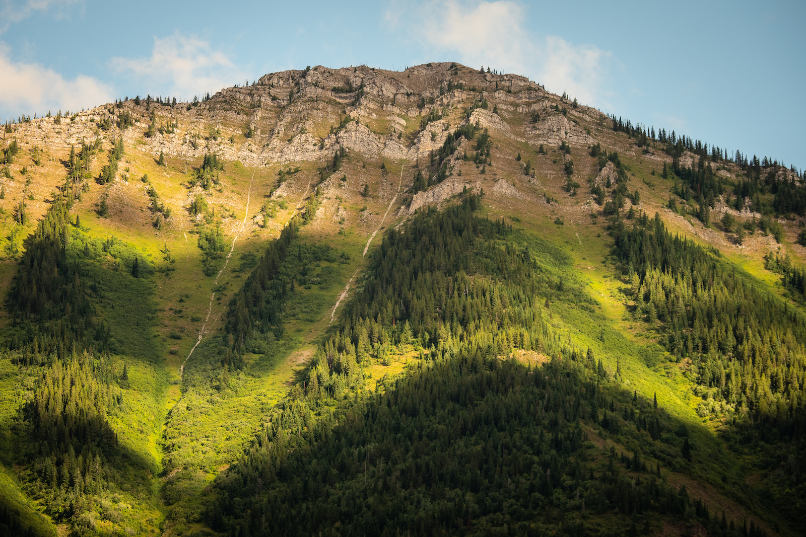 Mount Fernie in all its glory