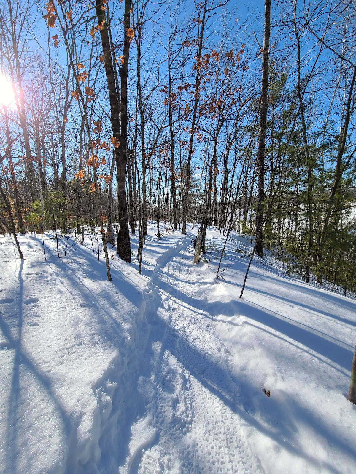 A snowy forest trail with deep tracks running through bare deciduous trees.