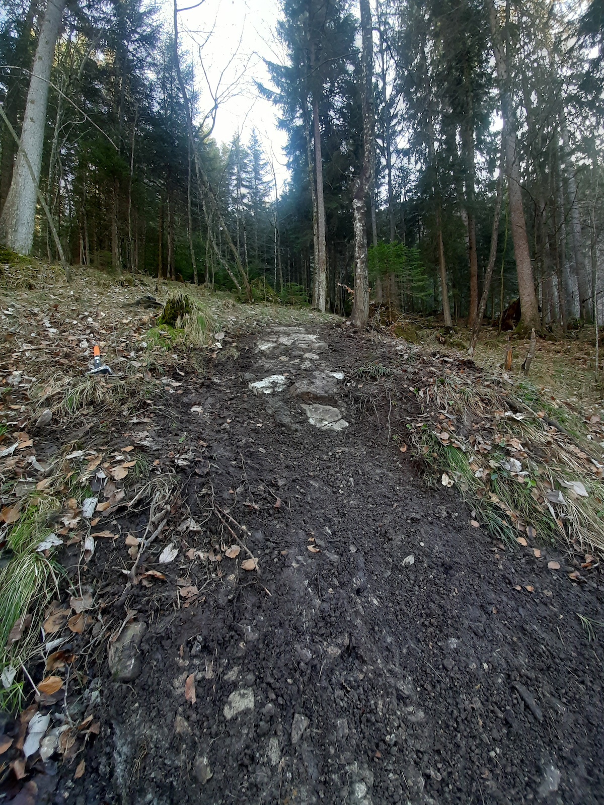 Trail maintenance 2020