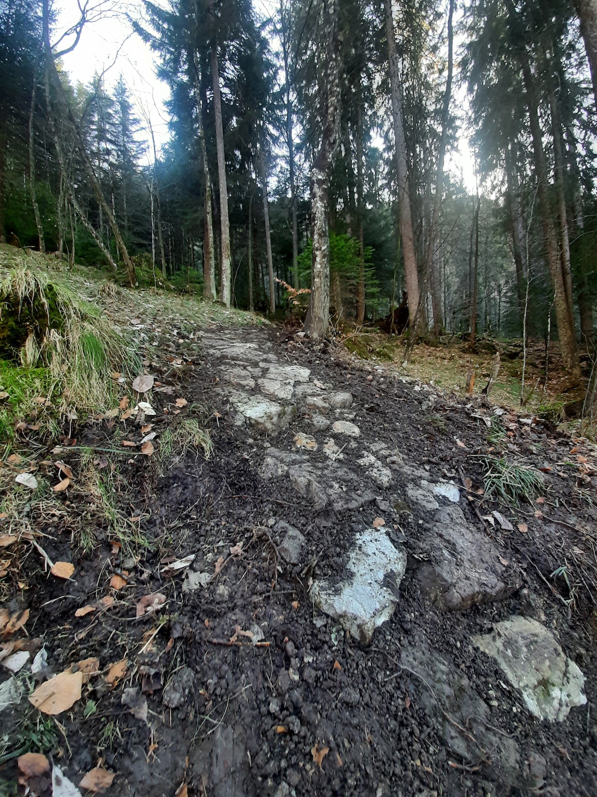 Trail maintenance 2020