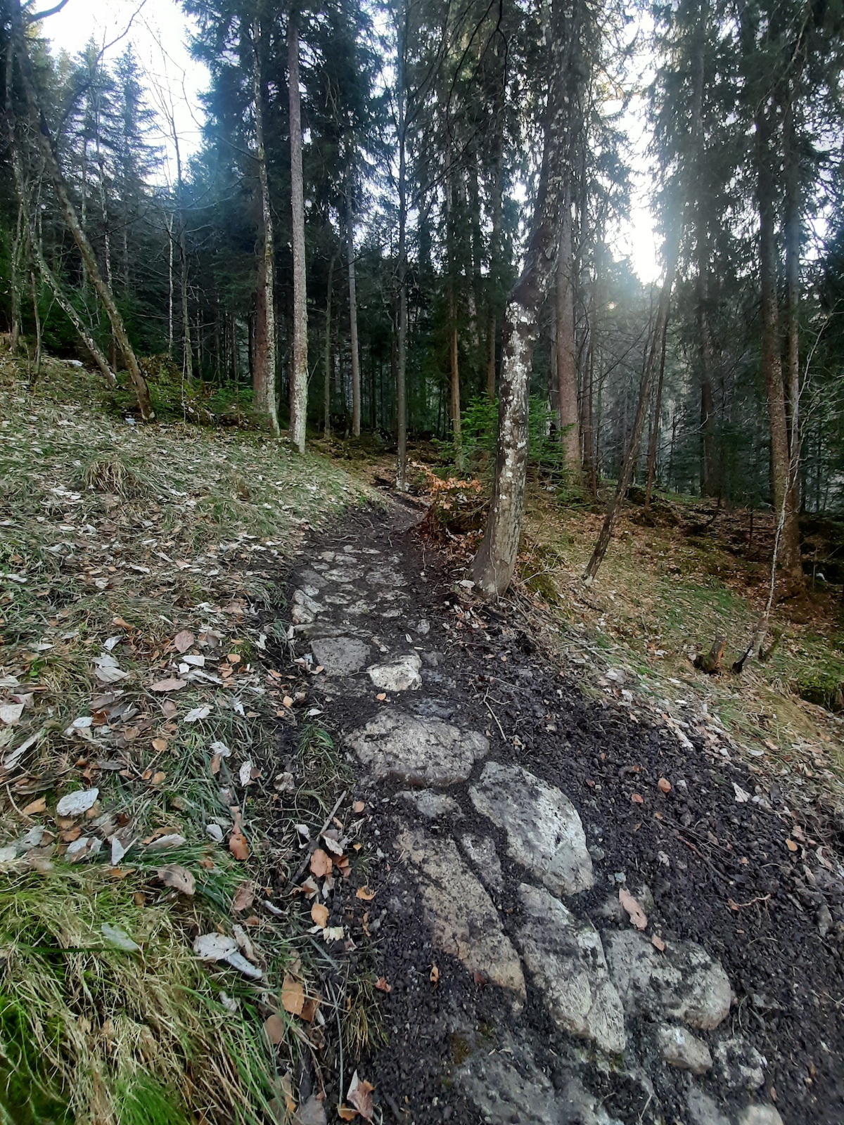 Trail maintenance 2020