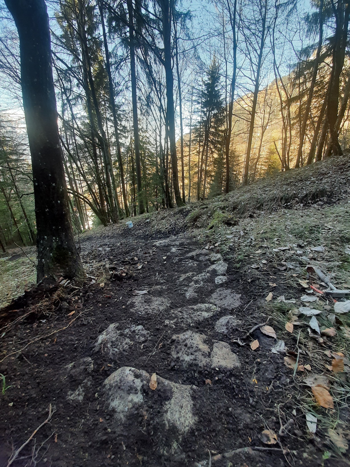 Trail maintenance 2020