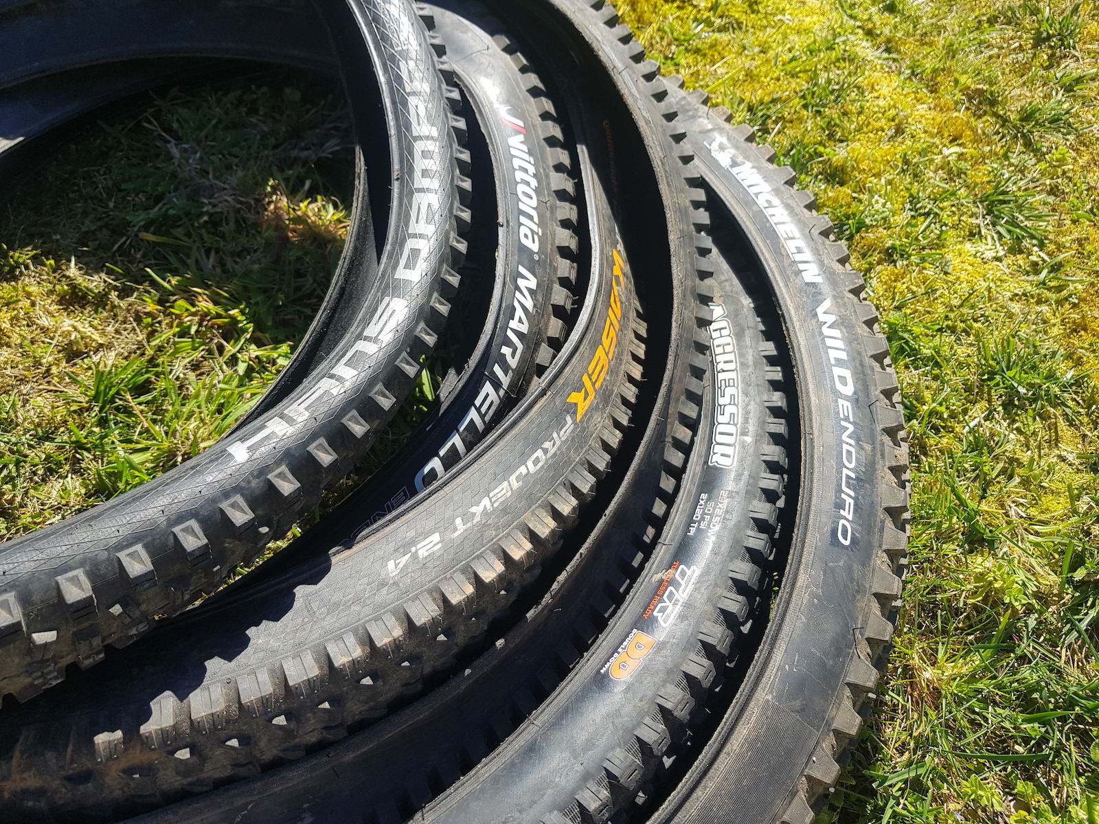 Review: 6 Hard-Hitting Rear Tires Ridden & Rated - Pinkbike