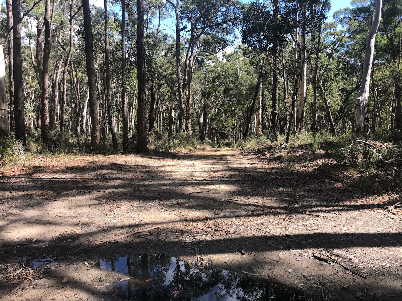 27th March 2021 about 8km from Daylesford. A heavy rainfall had wet the compacted earth trail, giving good grip. This photos shows a gentle slope off into the distance, indicating also how wide the trail gets. in many cases, it was much narrower.