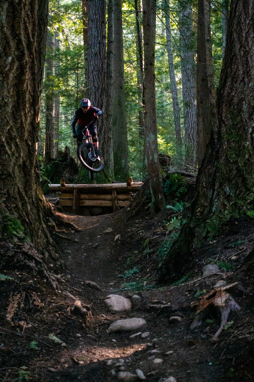 Mountain biker jumping in woods on westwood