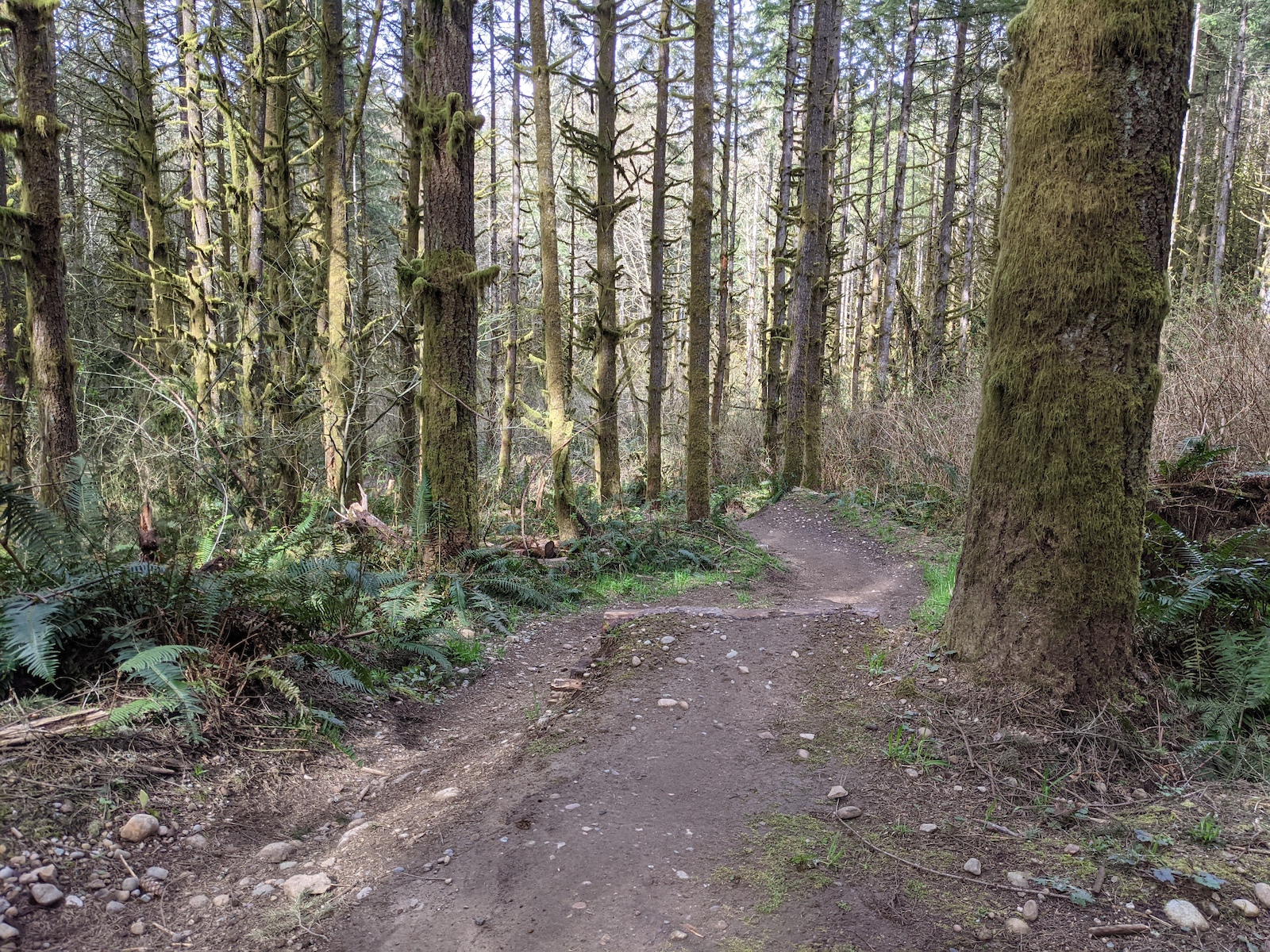 Last section of Wishbone with two jumps and some berms to close it out