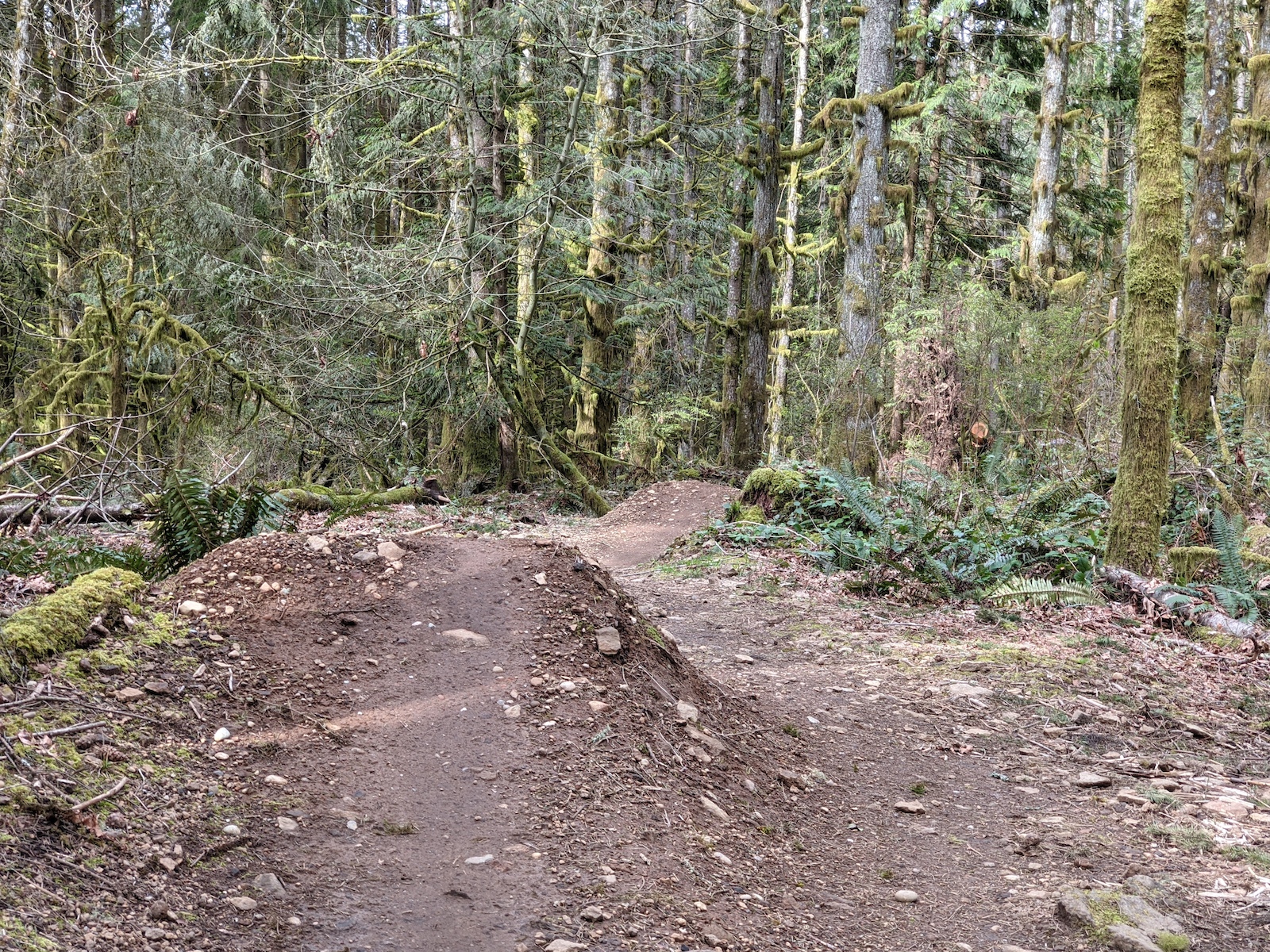 The first set of jumps at the official start of Wishbone. Drop in from the nearby hill(behind the picture) to get some speed.