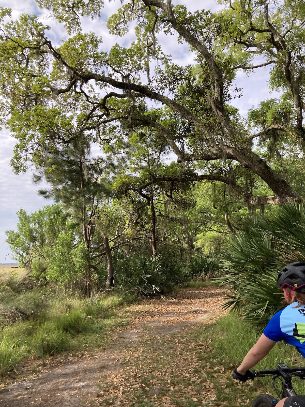 Access trail double track