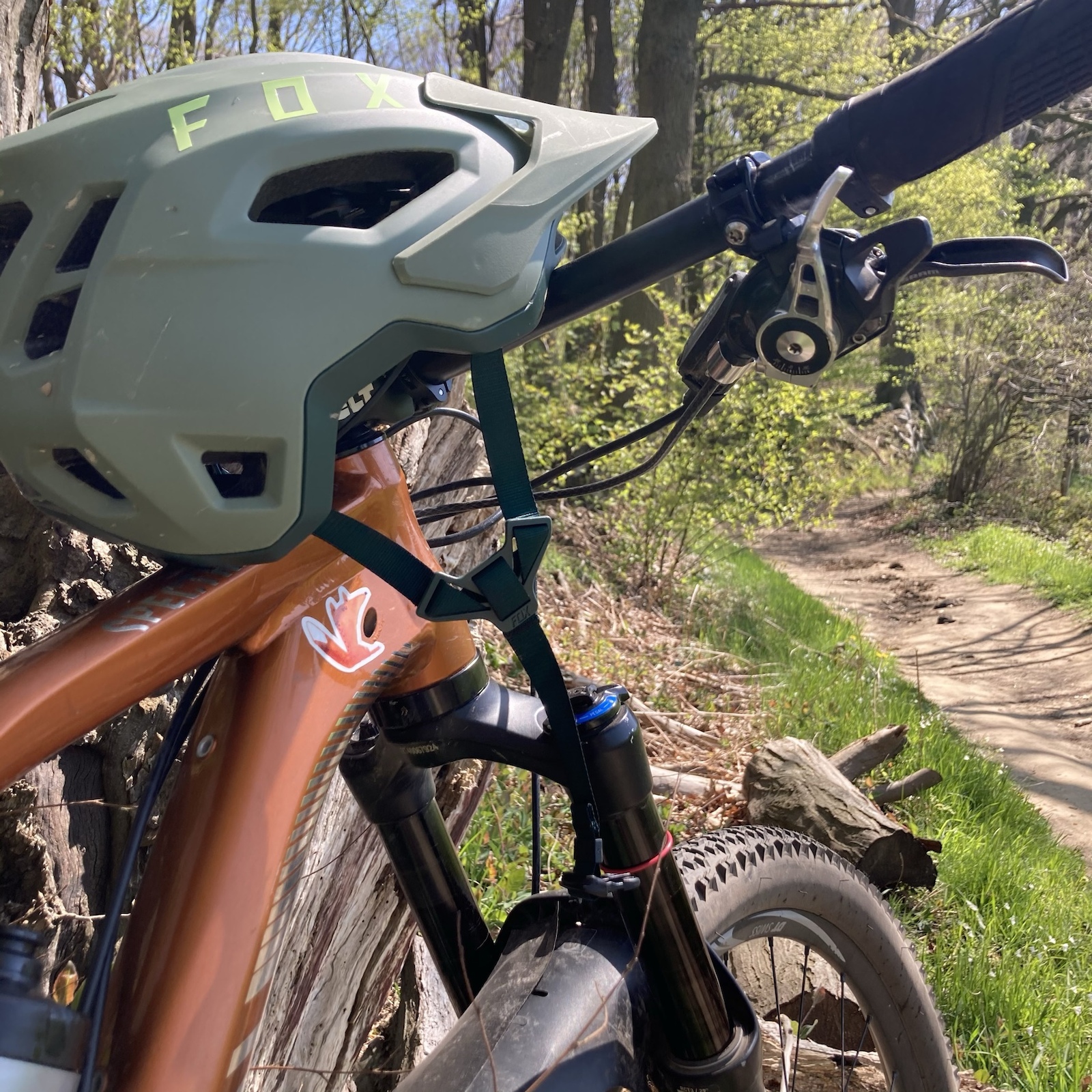 Close-up of a mountain biker on a forest trail with a white helmet and brown bike visible.