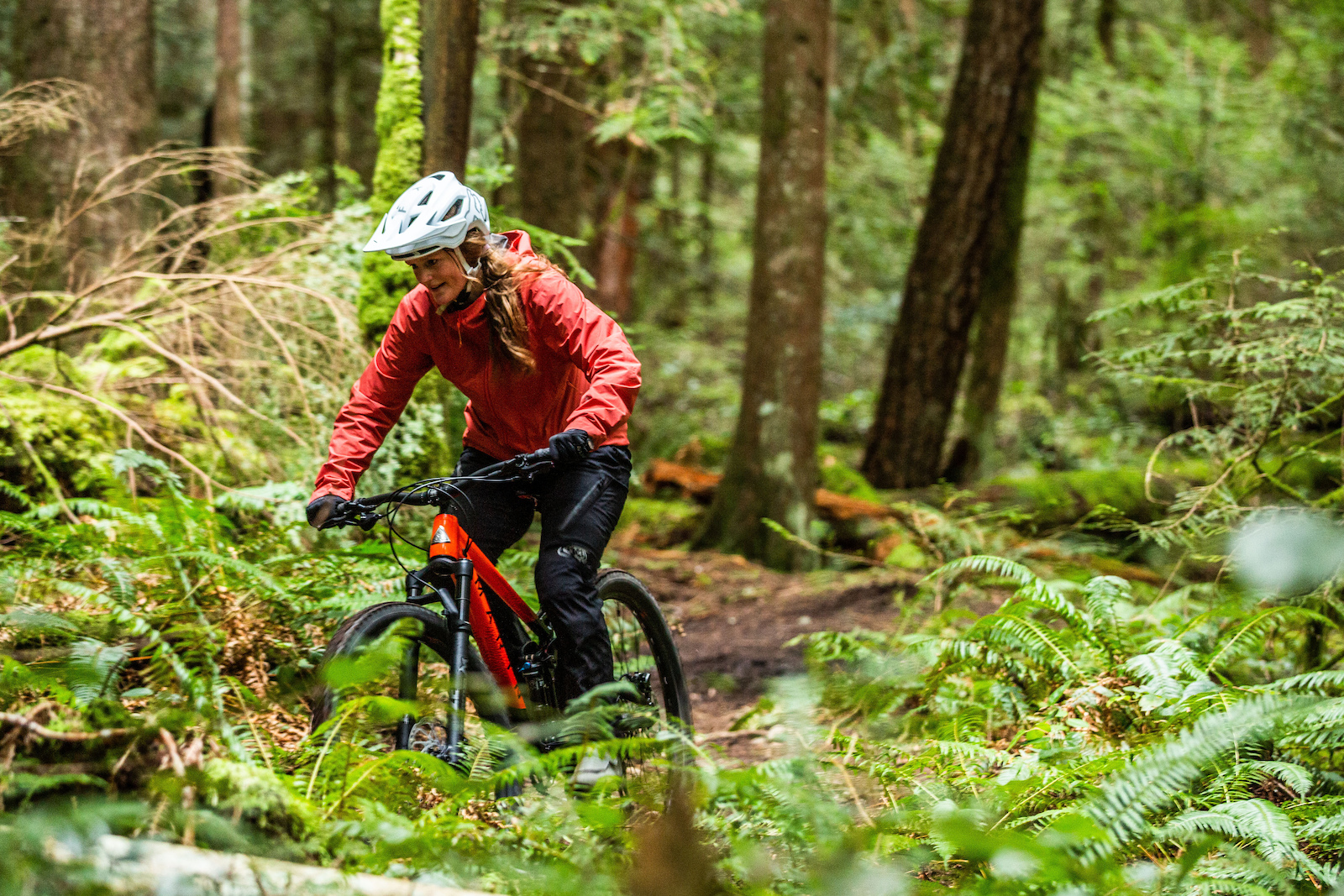 Marin Rift Zone. Field Trip 2021. Photo by Tom Richards