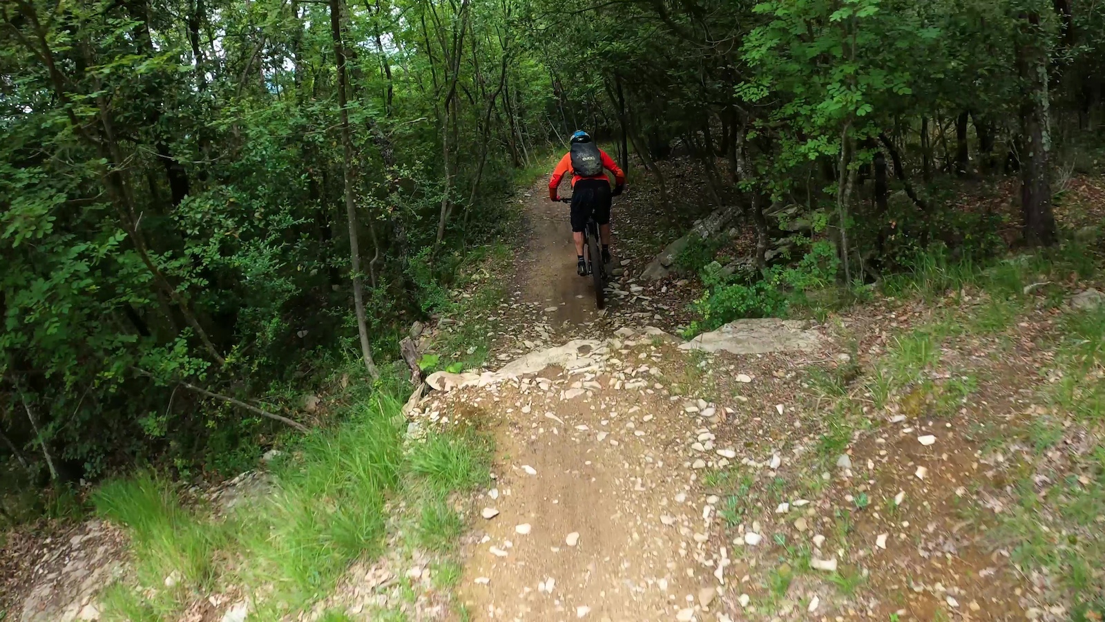 A mountain biker riding downhill on a rocky trail through dense forest.