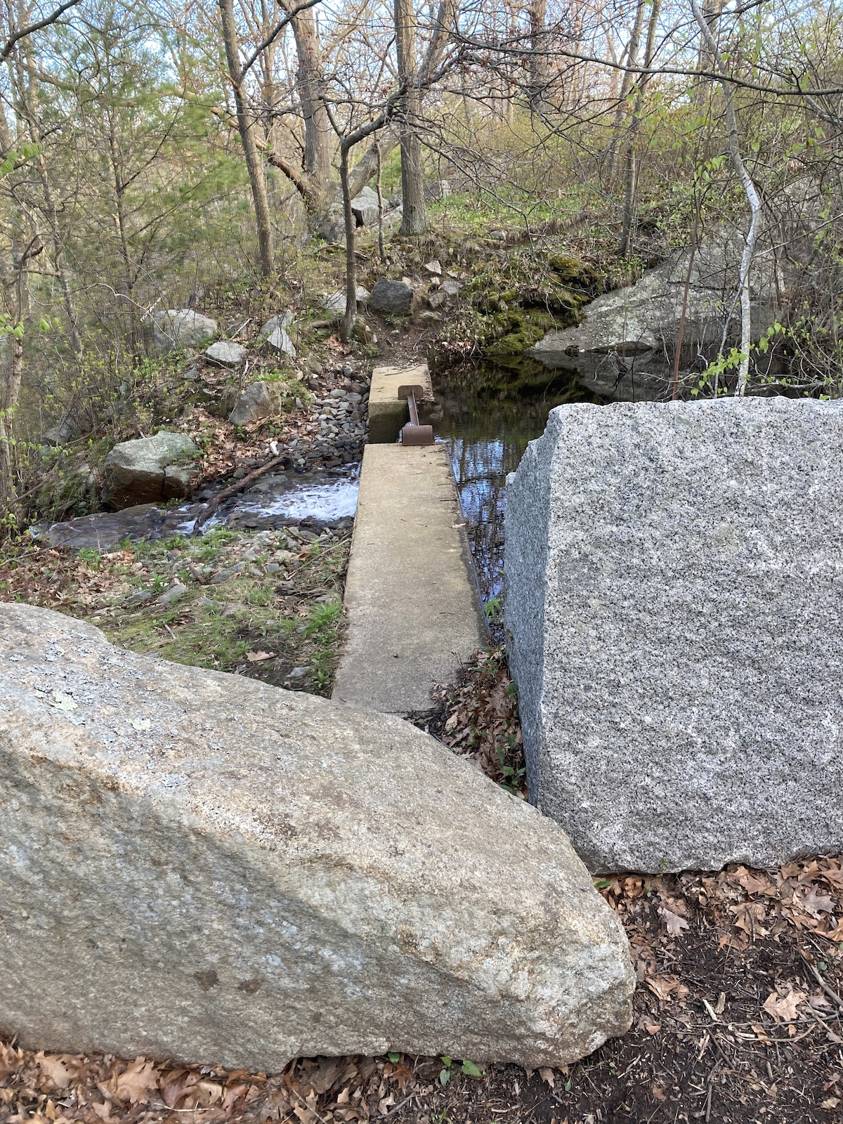 Well, you could bike this - but you have to hop over these granite blocks and this mini dam, then do it again on your way out.
This is at the start of this trail where it intersects with Quarry Run
