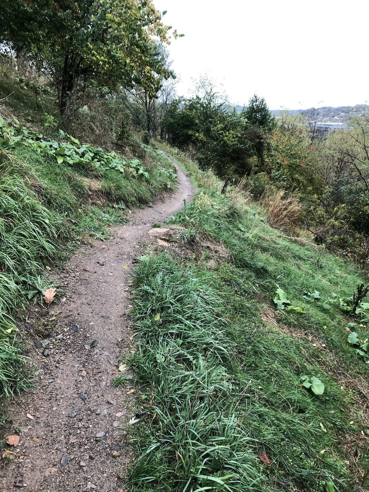 IHOP is a loop and this photo is from the lower loop. IHOP is one of the most fun trails in the Frick Park area. IHOP is not technically in Frick Park but in an area called the "slags". The slags are home to some of the area's best trails; IHOP, Humpular and Refractory.
