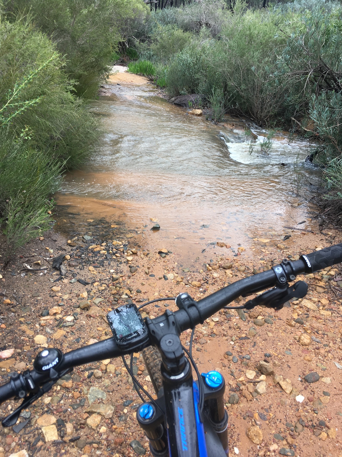 The creek crossing near pipehead trail. Not often you see that much water running in Perth creeks!