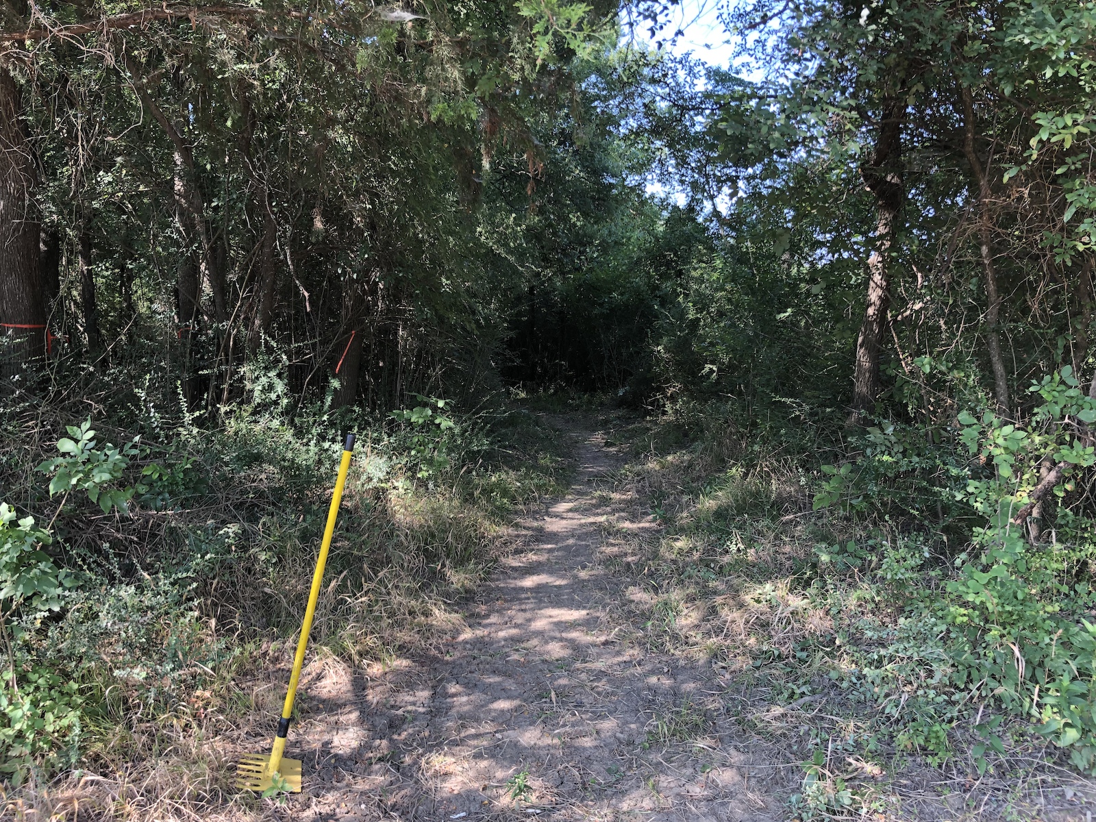Trail work. First since trails were closed by the city for infrastructure construction.