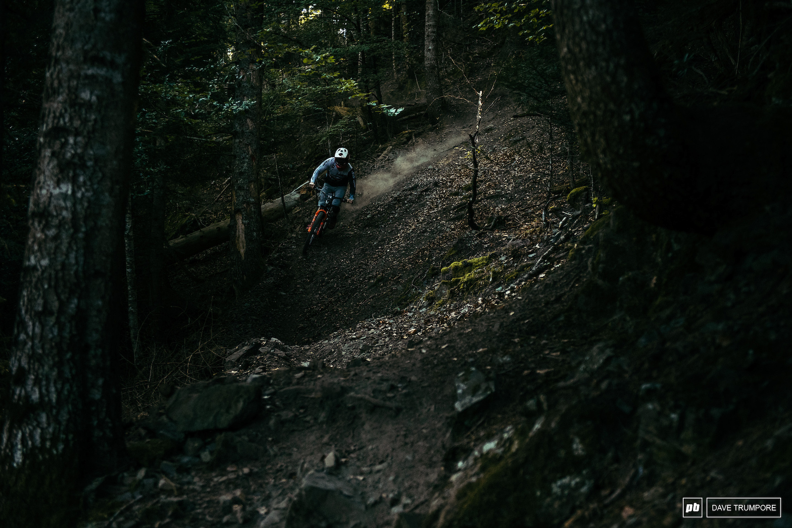 Keagan Wright through the dark forest