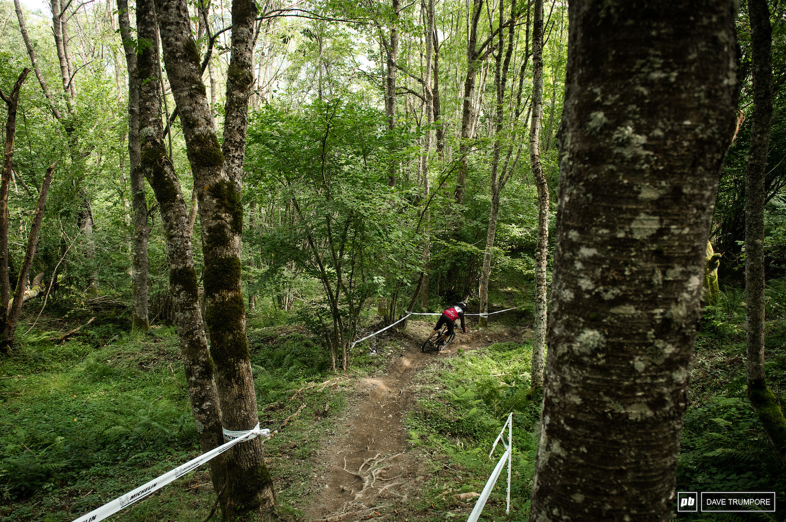 Stage 6 took a break from the high alpine environment and made it s way through a technical forest