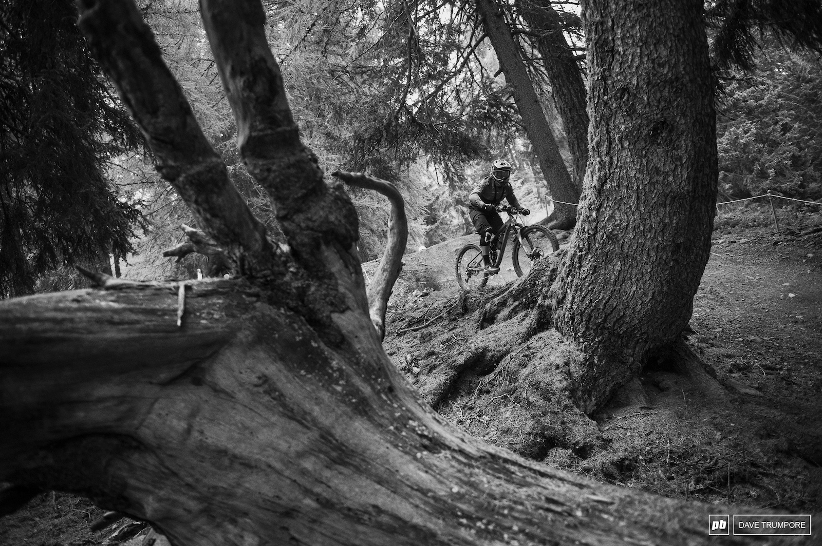 despite being high above treelike at the start all stages make their way through the forest here