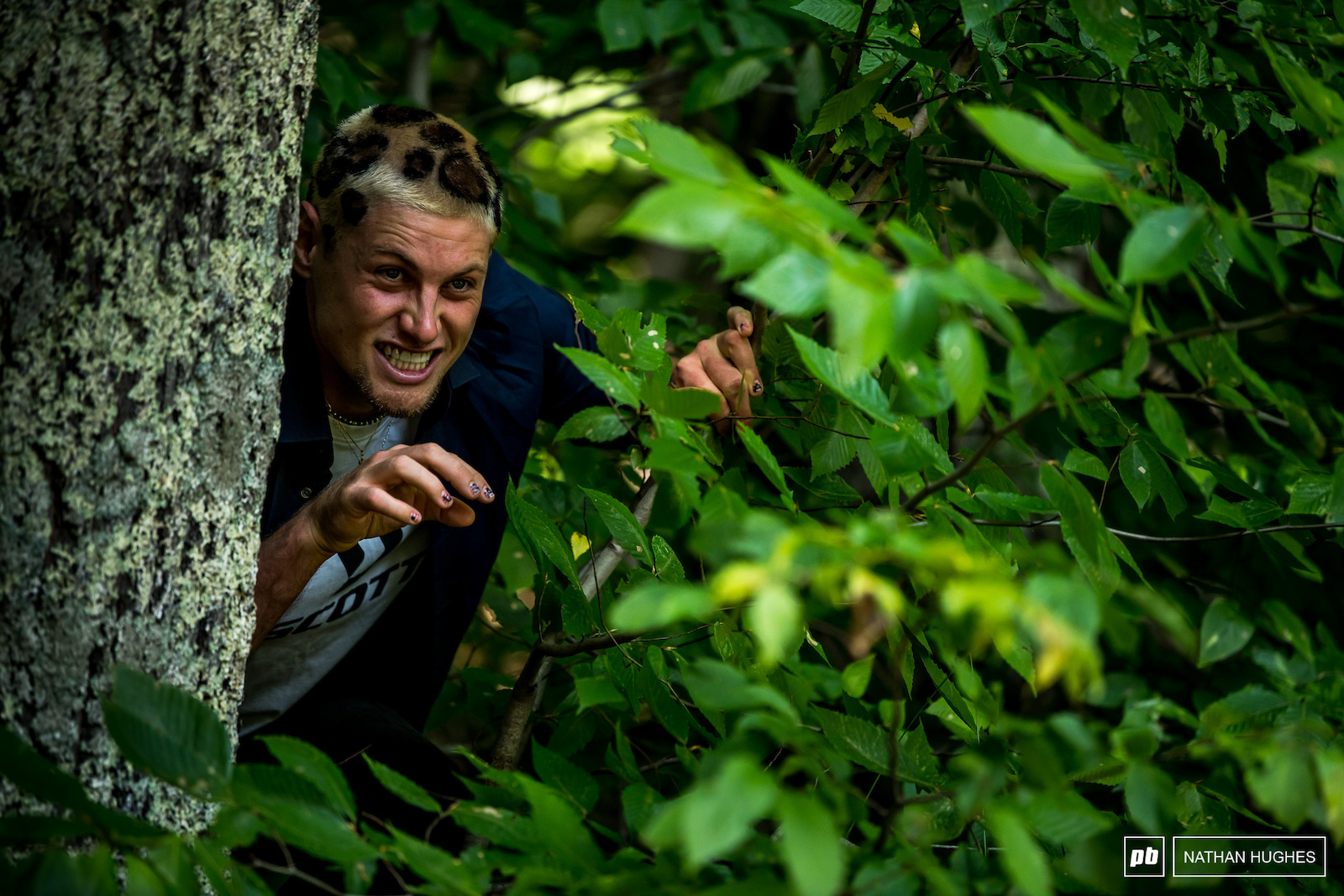Dangerous creatures lurking in the undergrowth.